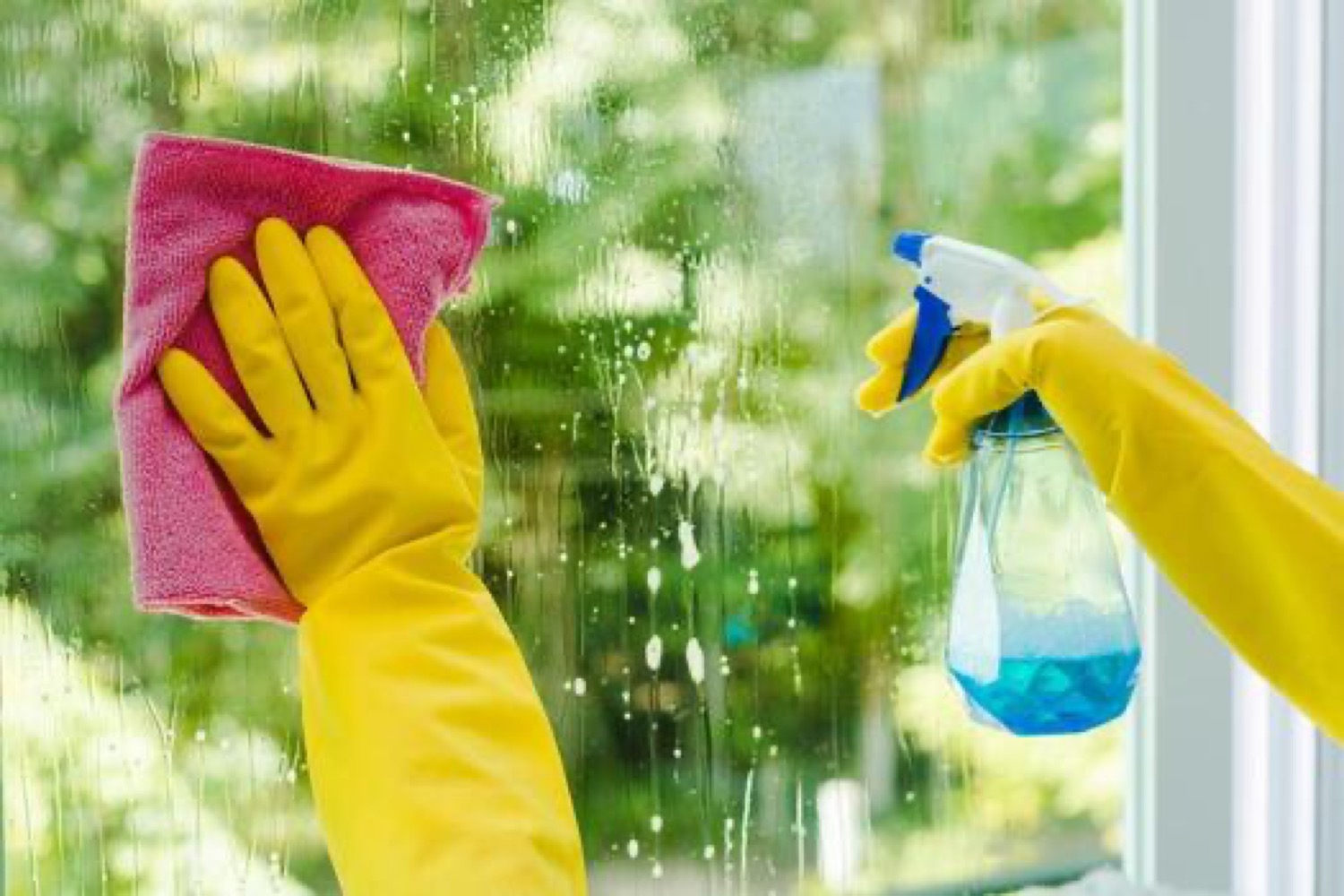 EdiGo professional cleaner at work